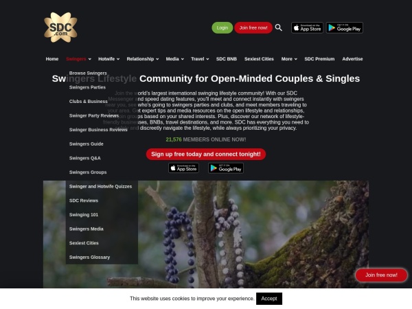 Screenshot of Swingers Date Club