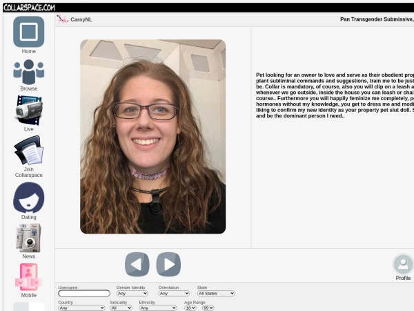 Screenshot of Collar Space